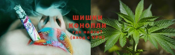 spice Нея