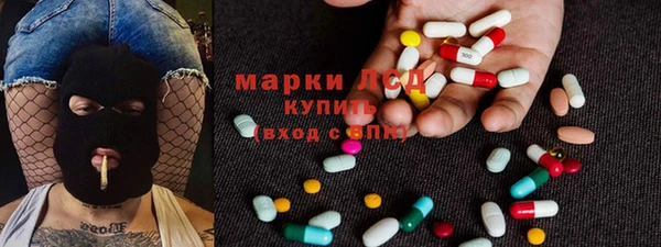 прущий лед Новозыбков